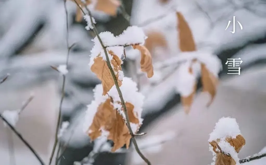 ثلوج طفيفة - ما يجب معرفته